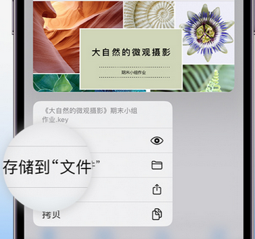 连云apple维修中心分享iPhone文件应用中存储和找到下载文件