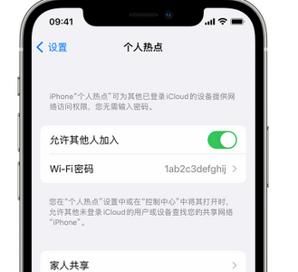 连云apple服务站点分享iPhone上个人热点丢失了怎么办 