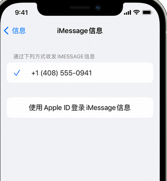 连云apple维修iPhone上无法正常发送iMessage信息 