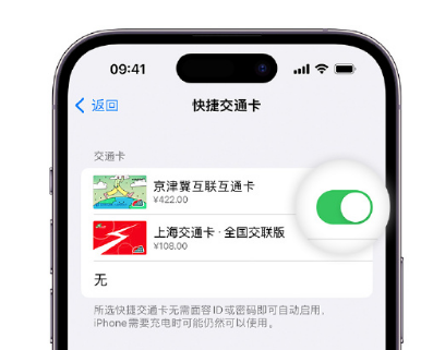 连云apple维修点分享iPhone上更换Apple Pay快捷交通卡手绘卡面 