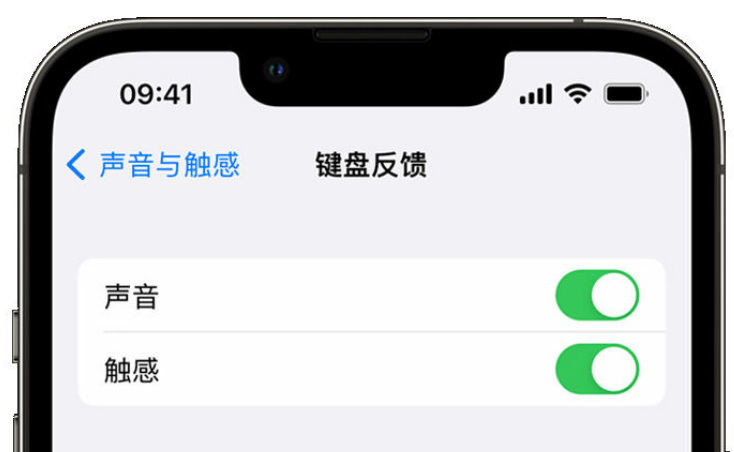 连云苹果手机维修分享iPhone 14触感键盘使用方法 