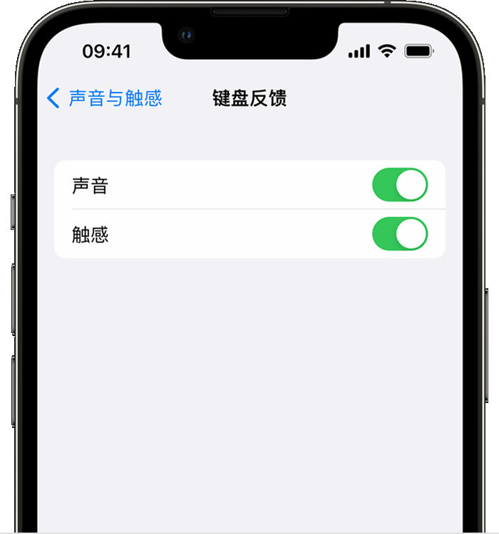 连云苹果14维修店分享如何在 iPhone 14 机型中使用触感键盘 