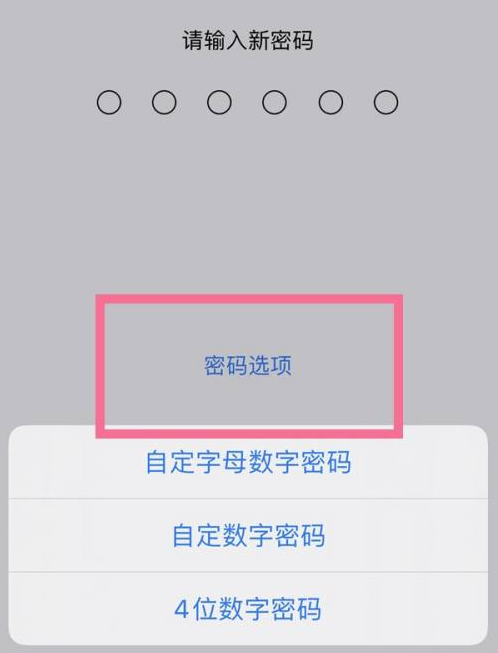 连云苹果14维修分享iPhone 14plus设置密码的方法 