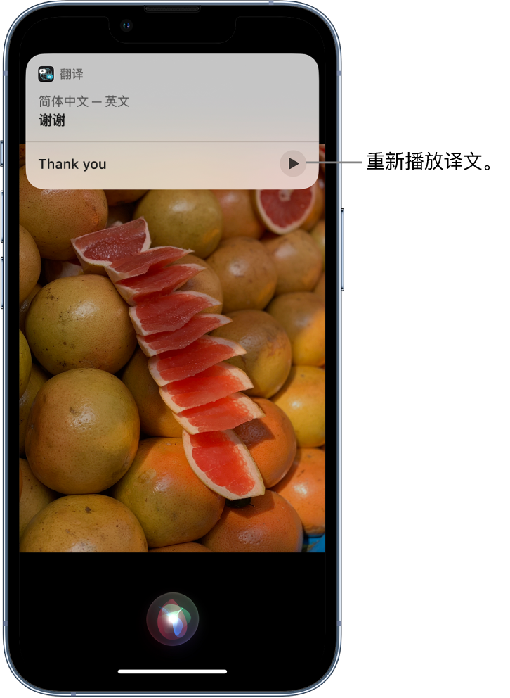 连云苹果14维修分享 iPhone 14 机型中使用 Siri：了解 Siri 能帮你做什么 