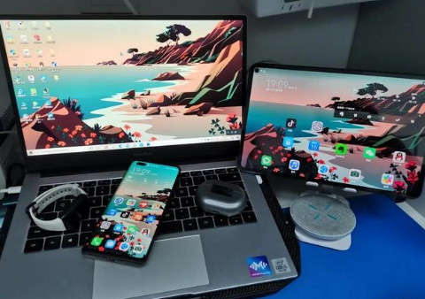 连云苹果手机维修分享为什么iPad屏幕更大价格却比iPhone低 